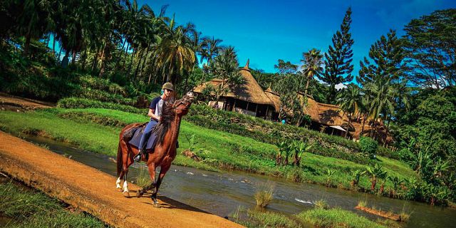 Horse riding excursion (7)